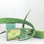 Savon Artisanale à L'Aloe Verra